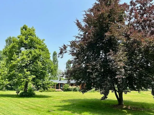 Villa Il Faggio Rosso